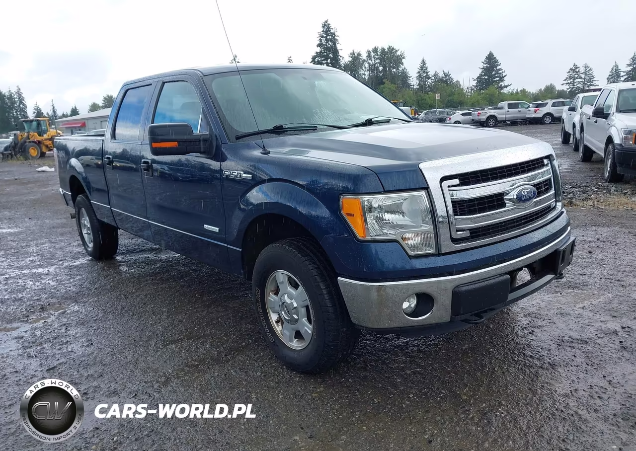 2013 Ford F-150 – zdjęcie 1 z 16
