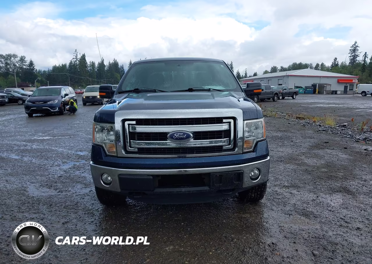 2013 Ford F-150 VIN:1FTFW1ETXDKE30100 - 12