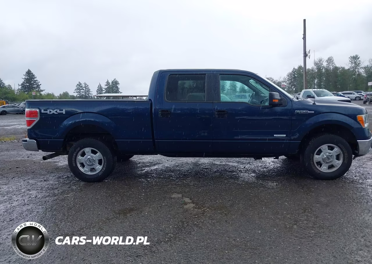 2013 Ford F-150 VIN:1FTFW1ETXDKE30100 - 13