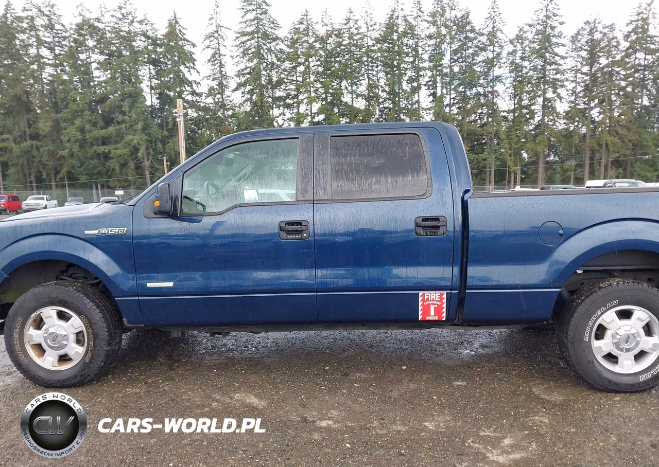 2013 Ford F-150 VIN:1FTFW1ETXDKE30100 - 14