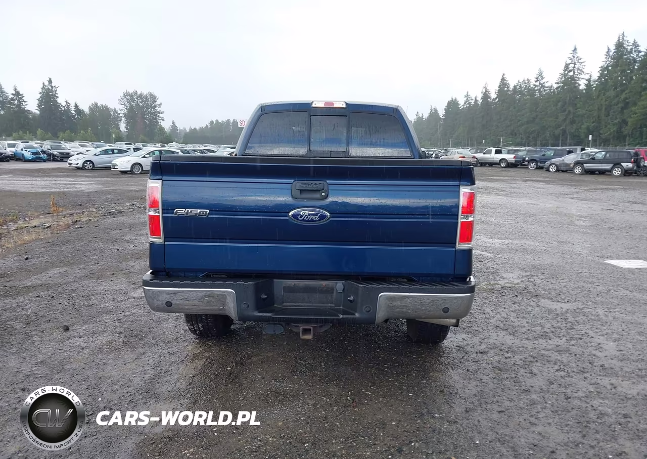 2013 Ford F-150 VIN:1FTFW1ETXDKE30100 - 16