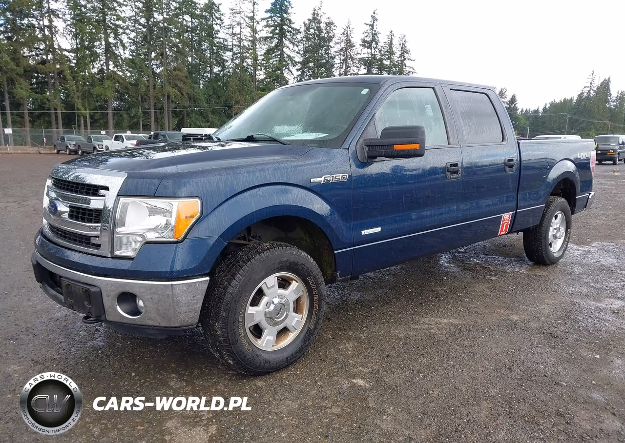 2013 Ford F-150 VIN:1FTFW1ETXDKE30100 - 2