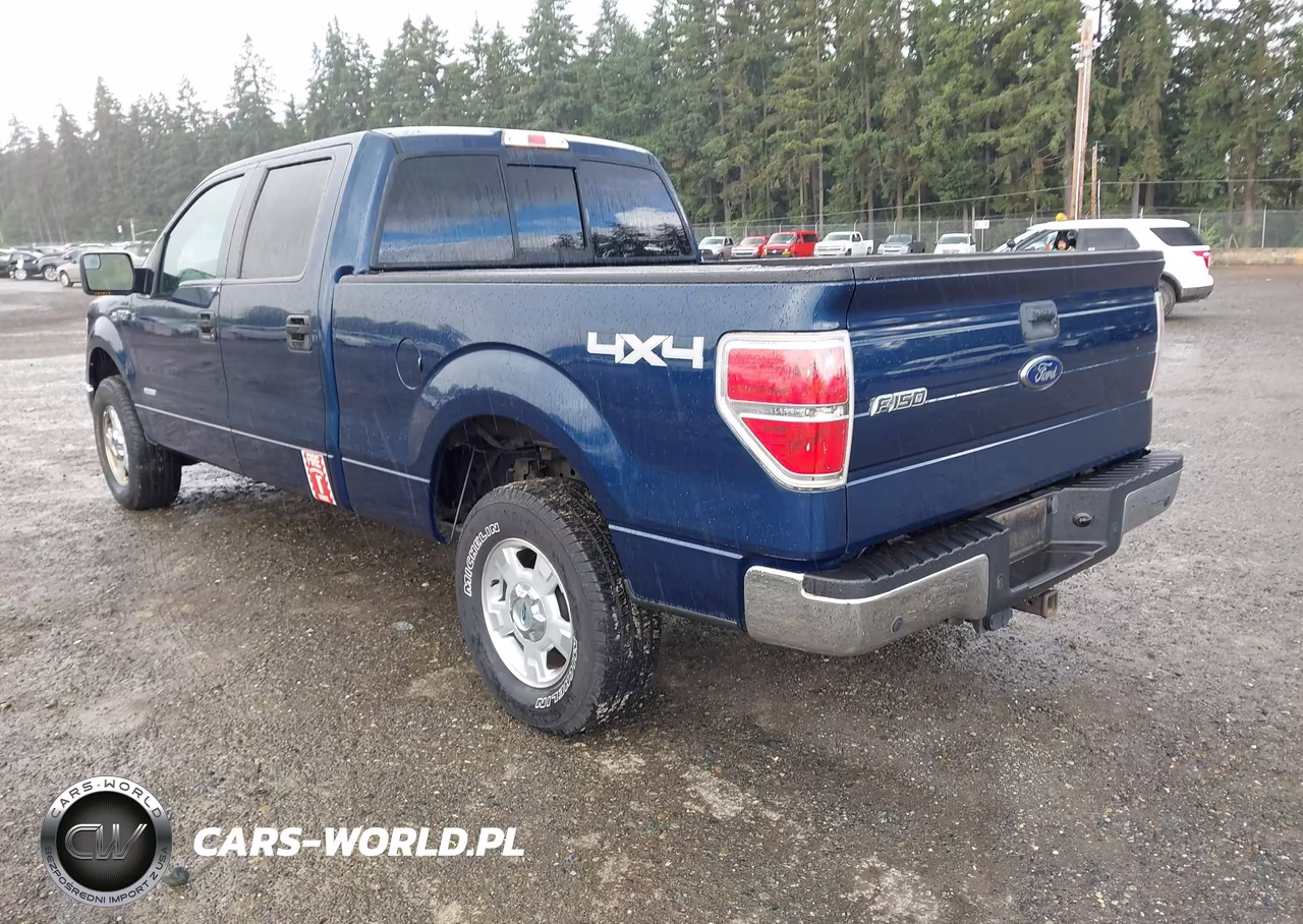 2013 Ford F-150 VIN:1FTFW1ETXDKE30100 - 3