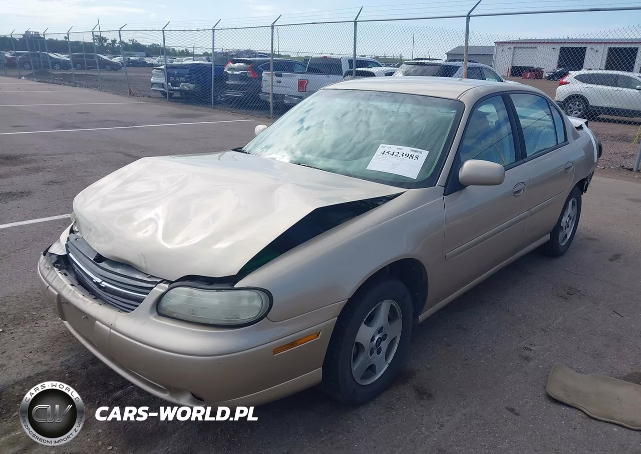 2003 Chevrolet Malibu Ls VIN:1G1NE52J43M655407 - 2