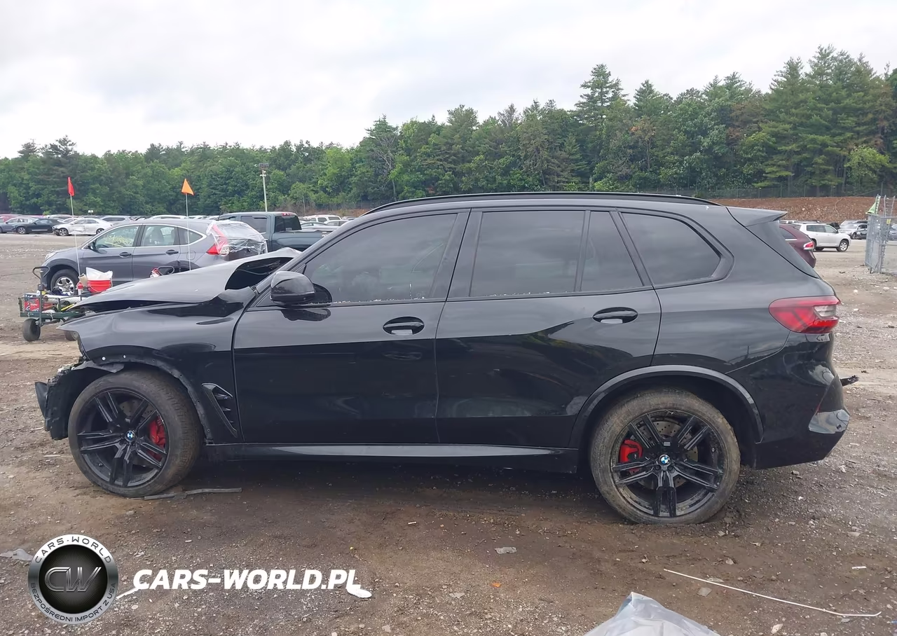 2023 BMW X5 M VIN:5YMJU0C02P9P41817 - 15
