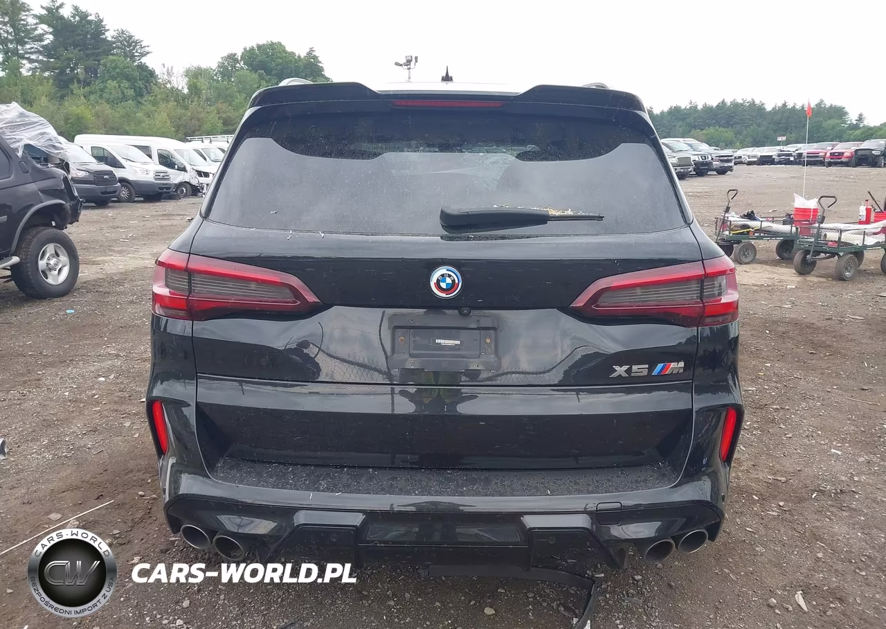 2023 BMW X5 M VIN:5YMJU0C02P9P41817 - 17
