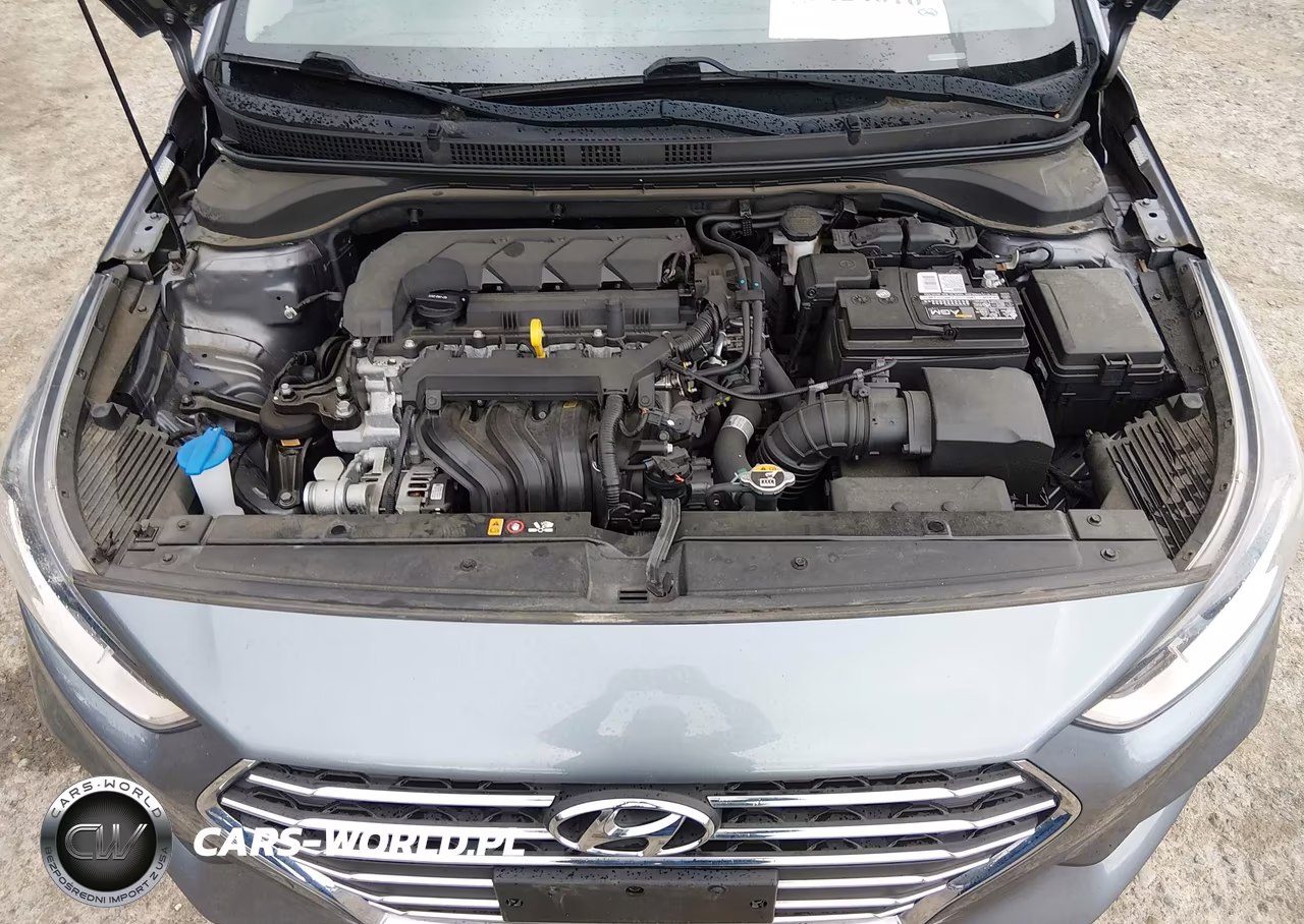 2020 Hyundai Accent Se VIN:3KPC24A67LE118706 - 10