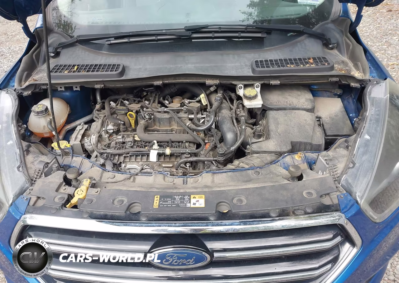 2019 Ford Escape Se VIN:1FMCU9GD9KUA85281 - 10