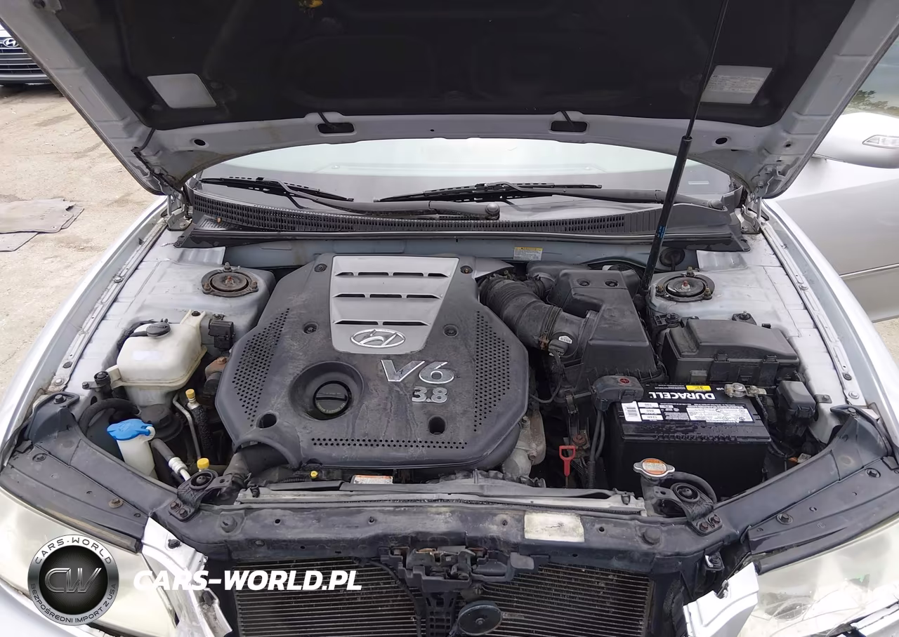 2008 Hyundai Azera Limited VIN:KMHFC46F48A289468 - 10