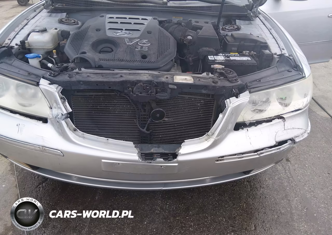 2008 Hyundai Azera Limited VIN:KMHFC46F48A289468 - 6