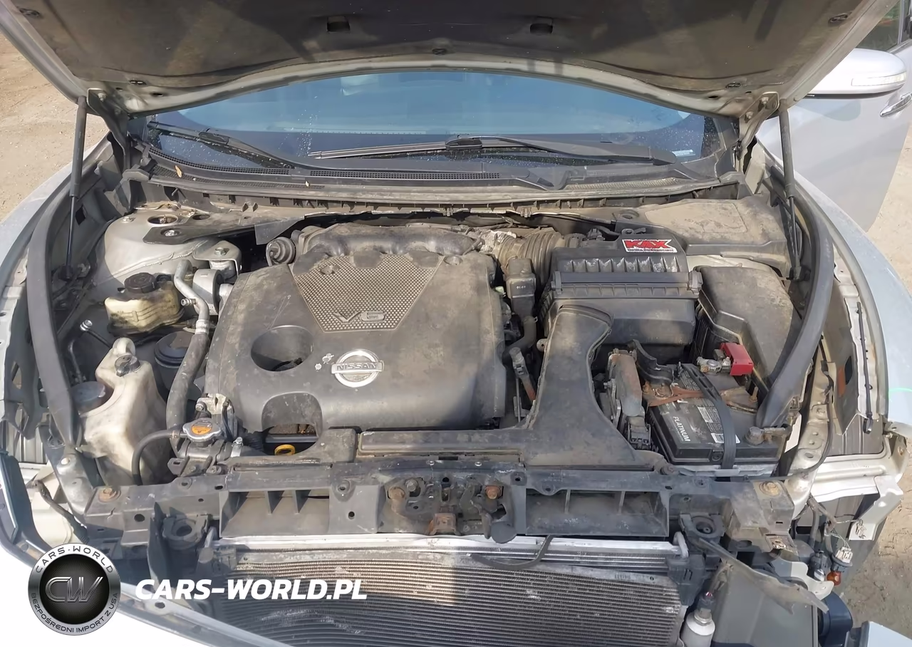 2009 Nissan Maxima 3.5 Sv VIN:1N4AA51E59C842522 - 10