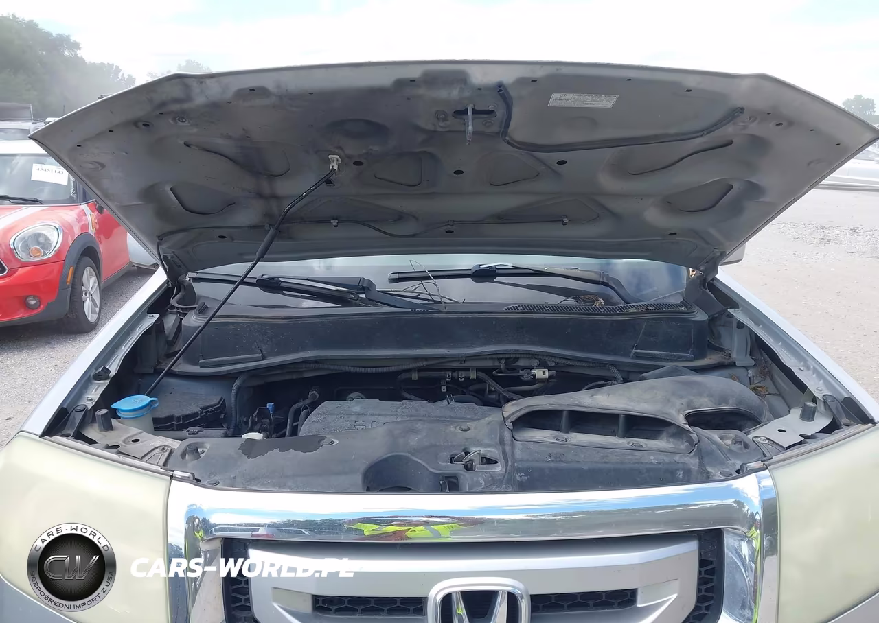 2010 Honda Pilot Ex-L VIN:5FNYF3H65AB019786 - 10