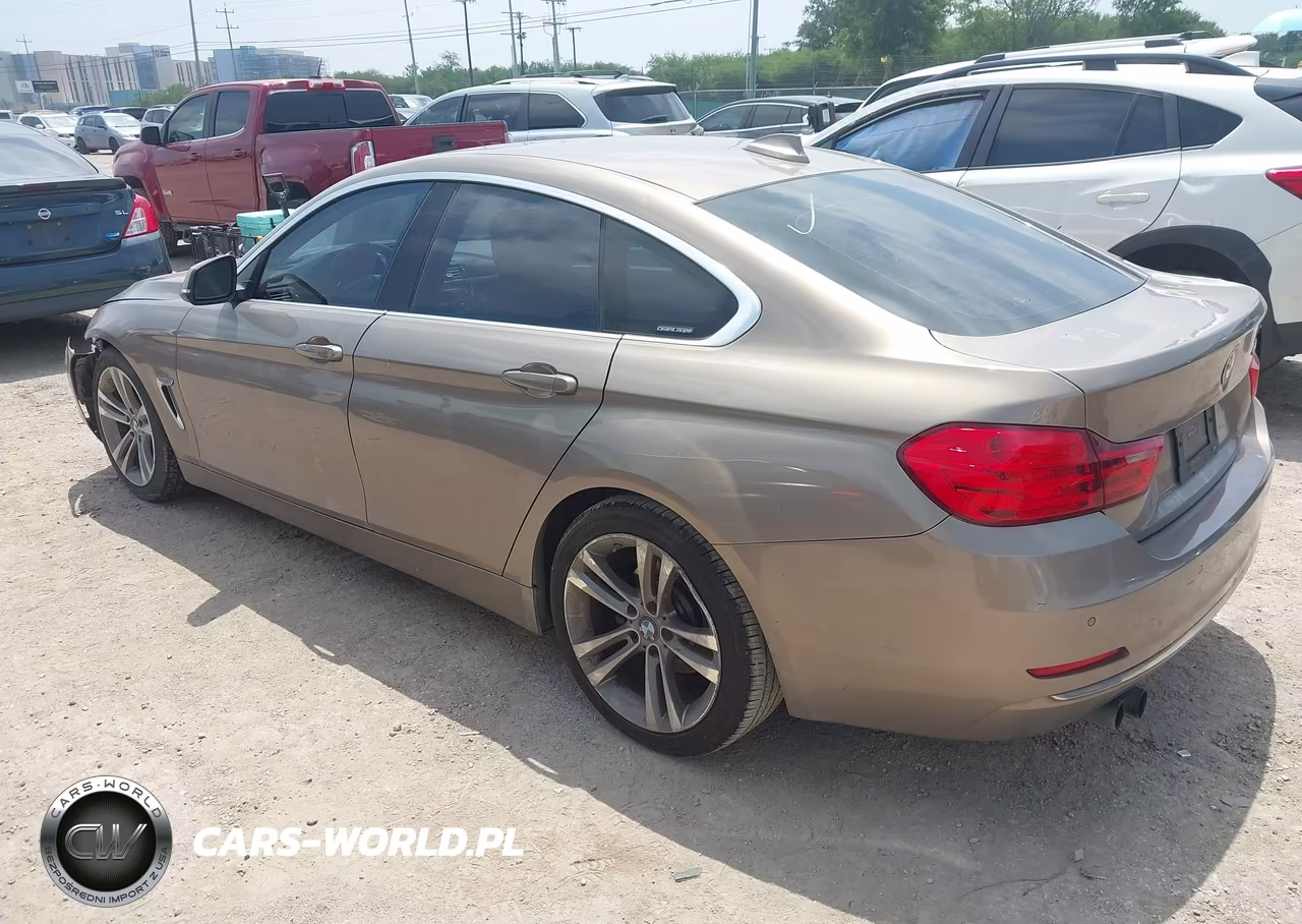 2016 BMW 428I Gran Coupe VIN:WBA4A9C56GG508613 - 3
