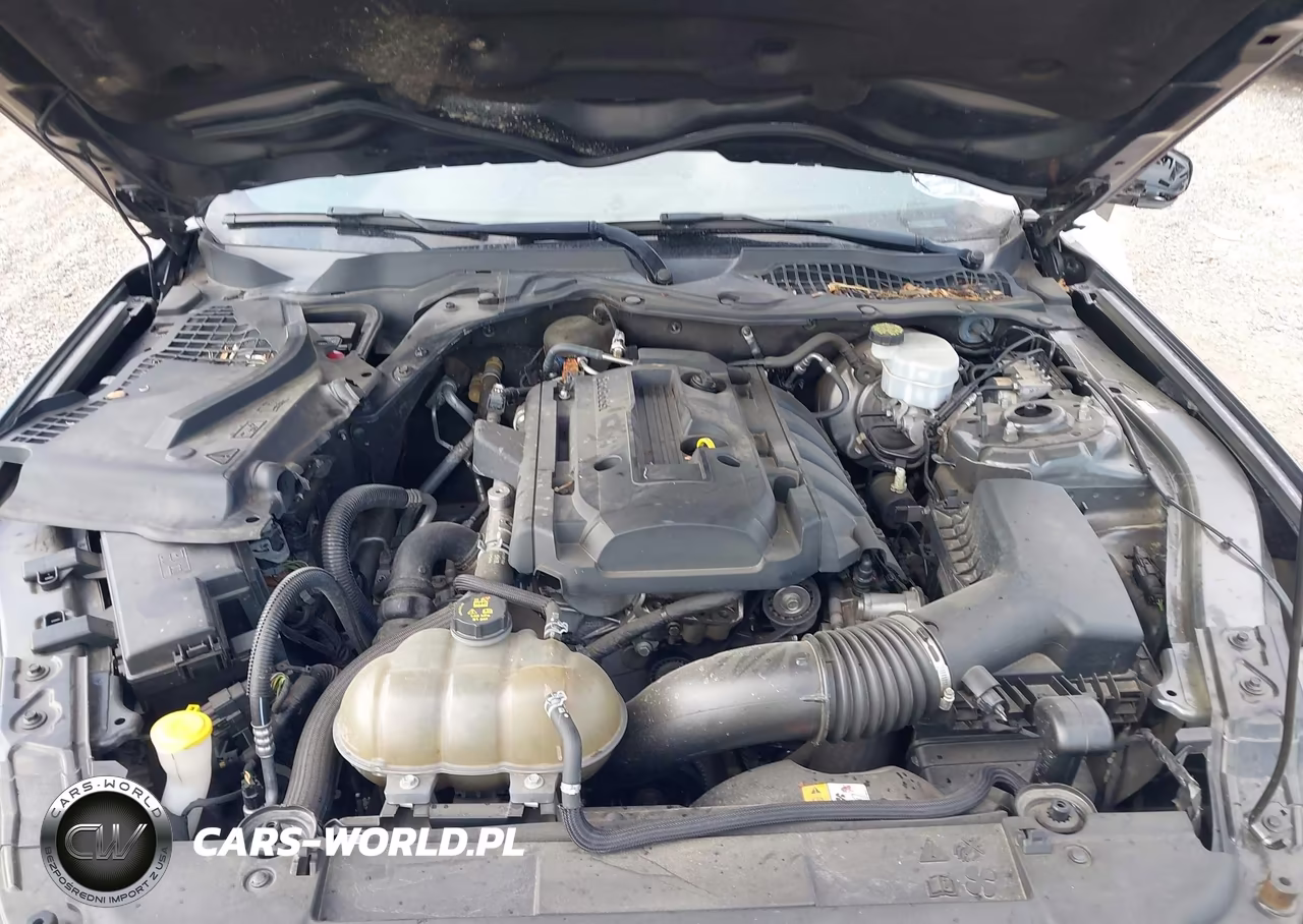 2018 Ford Mustang Ecoboost VIN:1FA6P8TH8J5118507 - 10