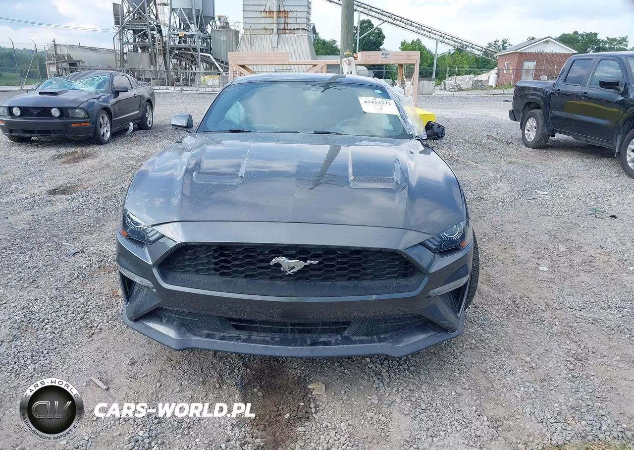2018 Ford Mustang Ecoboost VIN:1FA6P8TH8J5118507 - 12
