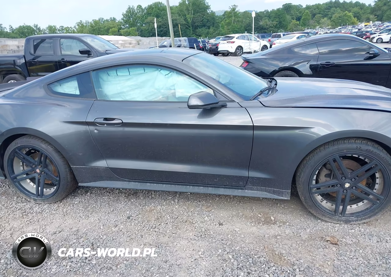 2018 Ford Mustang Ecoboost VIN:1FA6P8TH8J5118507 - 13