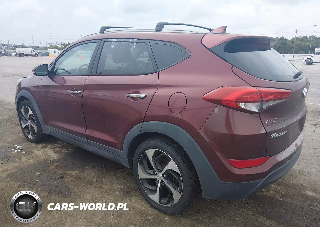 2016 Hyundai Tucson Limited VIN:KM8J33A20GU038422 - 3