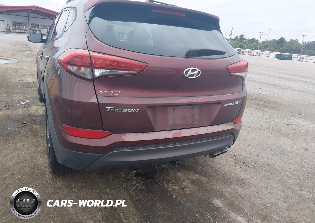 2016 Hyundai Tucson Limited VIN:KM8J33A20GU038422 - 6