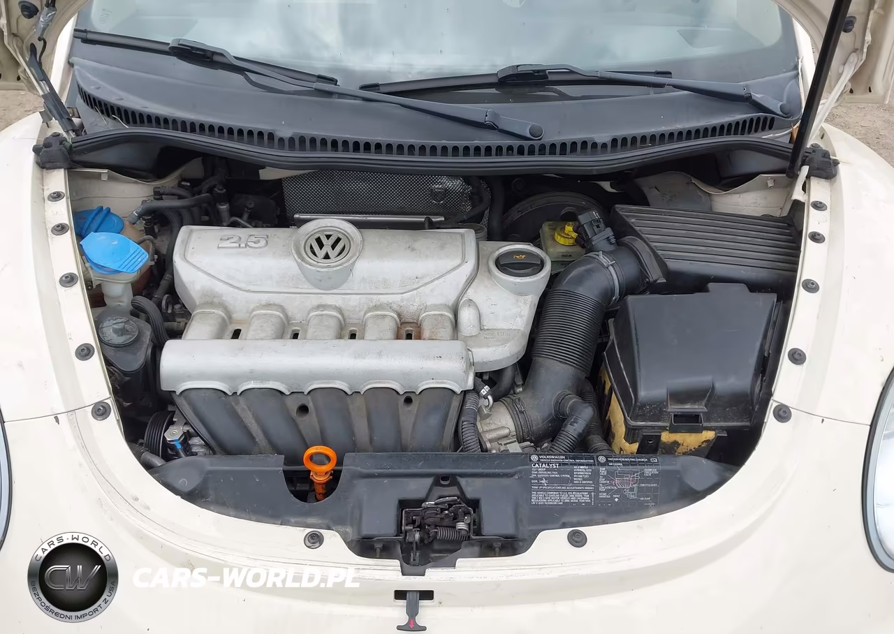 2006 Volkswagen New Beetle 2.5 VIN:3VWRF31Y56M302589 - 10