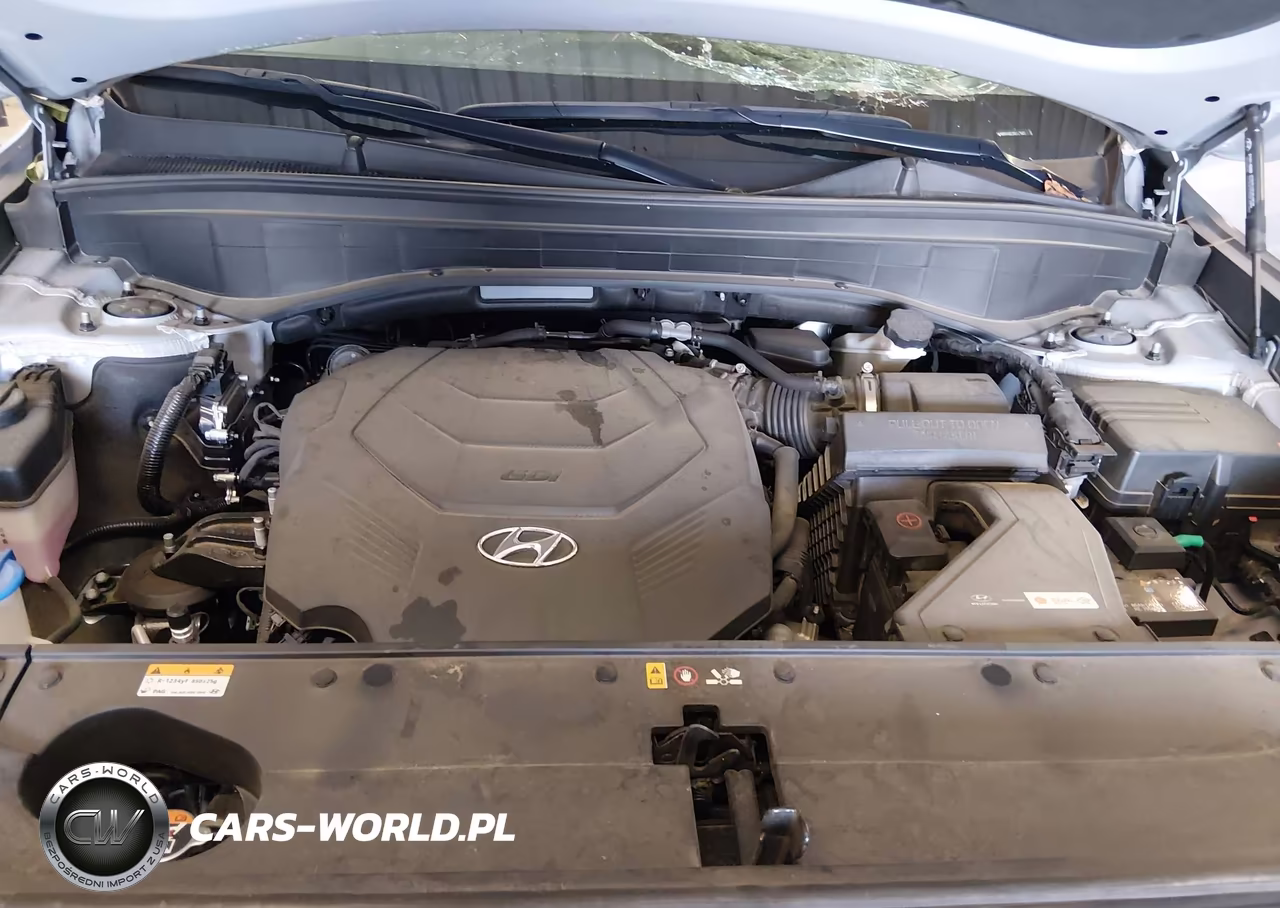 2024 Hyundai Palisade Sel 8P VIN:KM8R44GE2RU775647 - 10