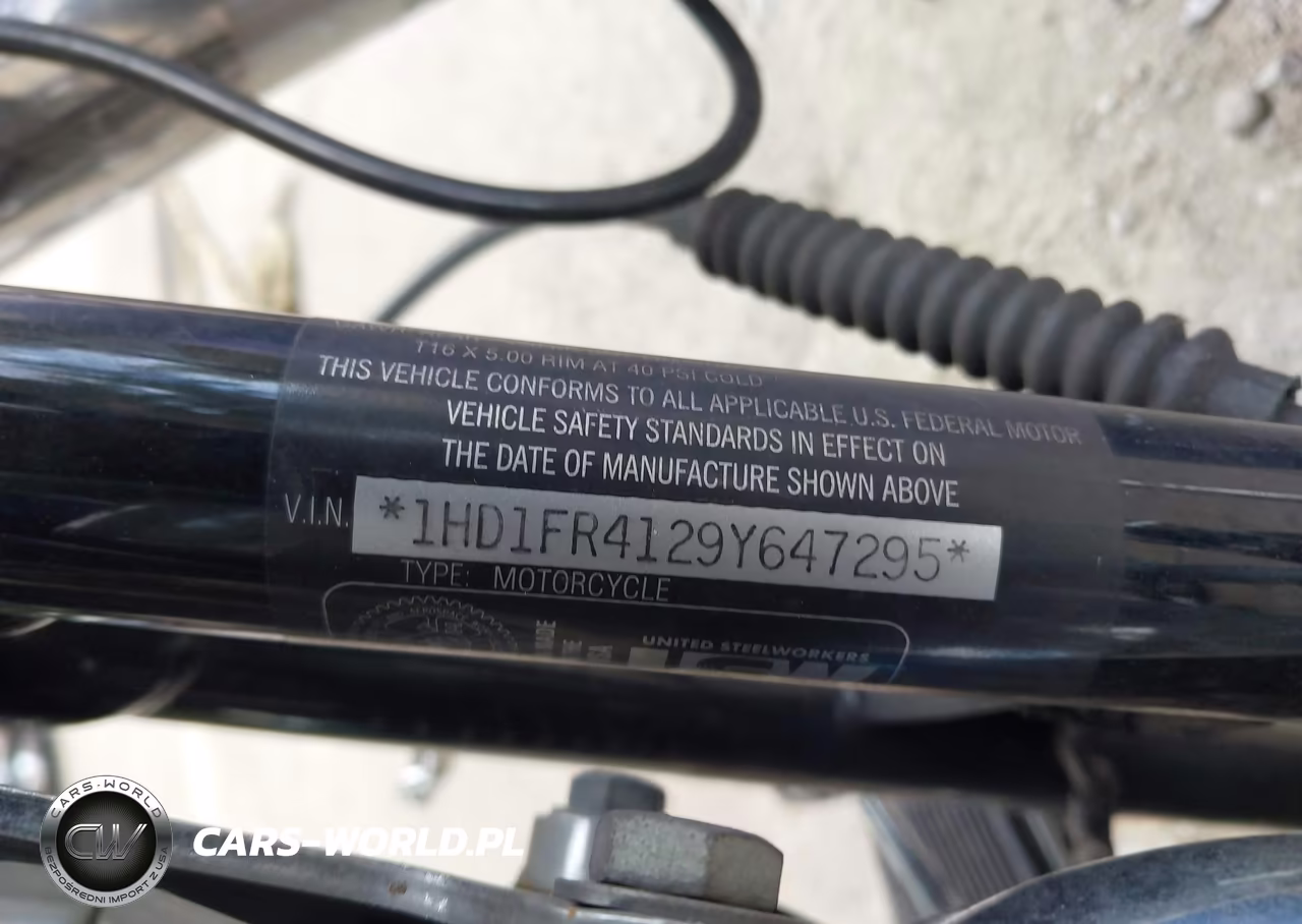 2009 Harley-Davidson Flhrc VIN:1HD1FR4129Y647295 - 10