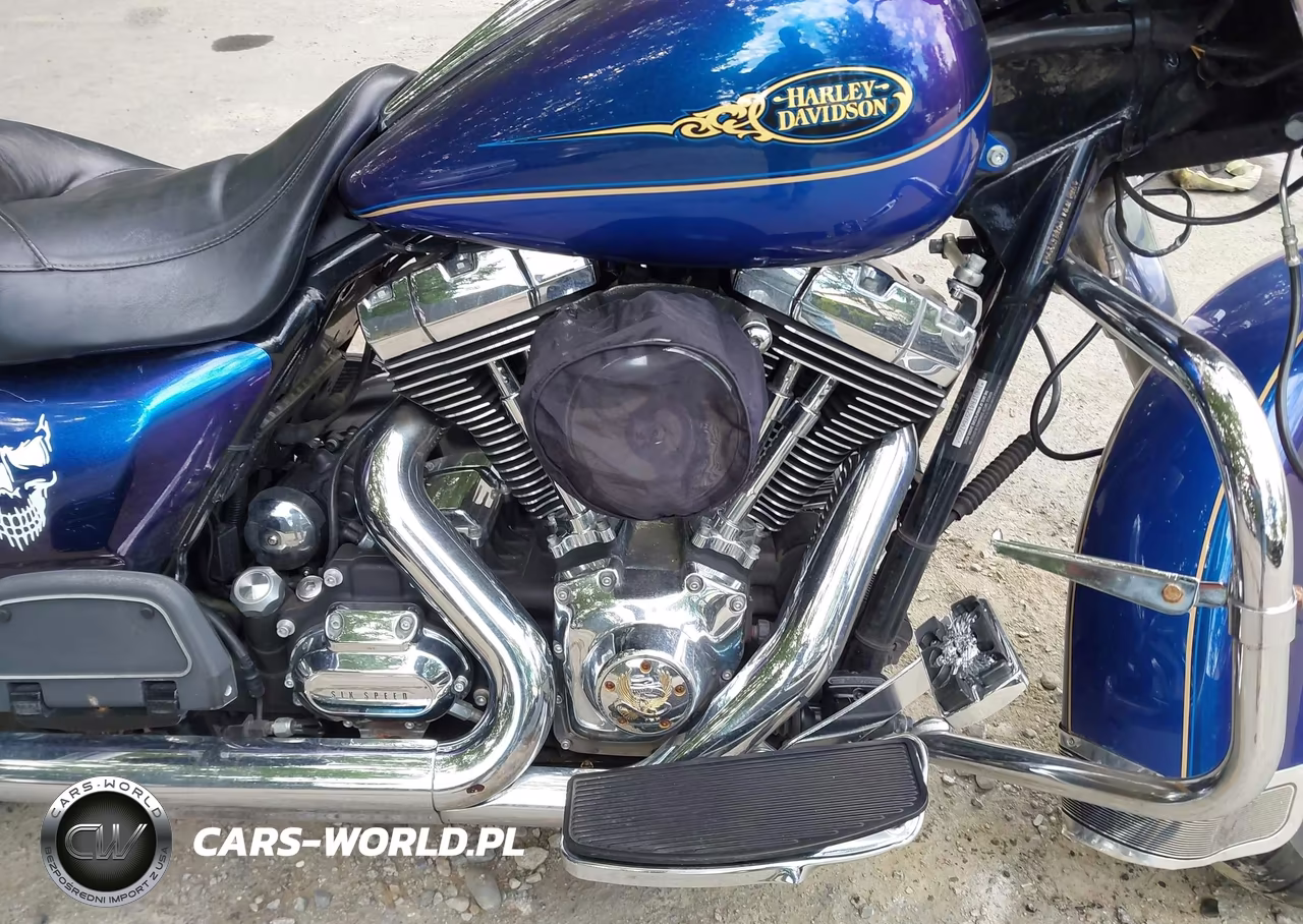 2009 Harley-Davidson Flhrc VIN:1HD1FR4129Y647295 - 8