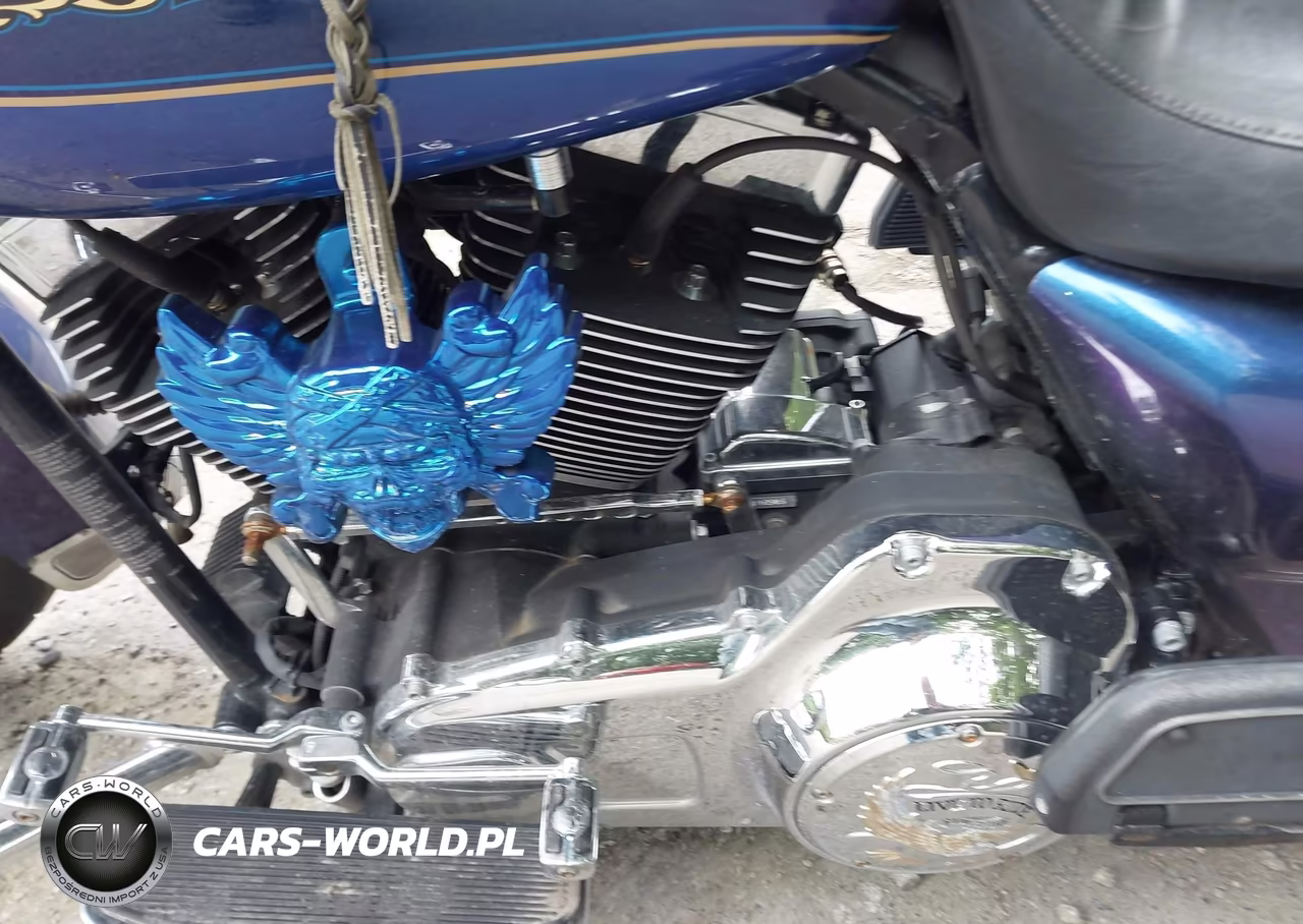 2009 Harley-Davidson Flhrc VIN:1HD1FR4129Y647295 - 9