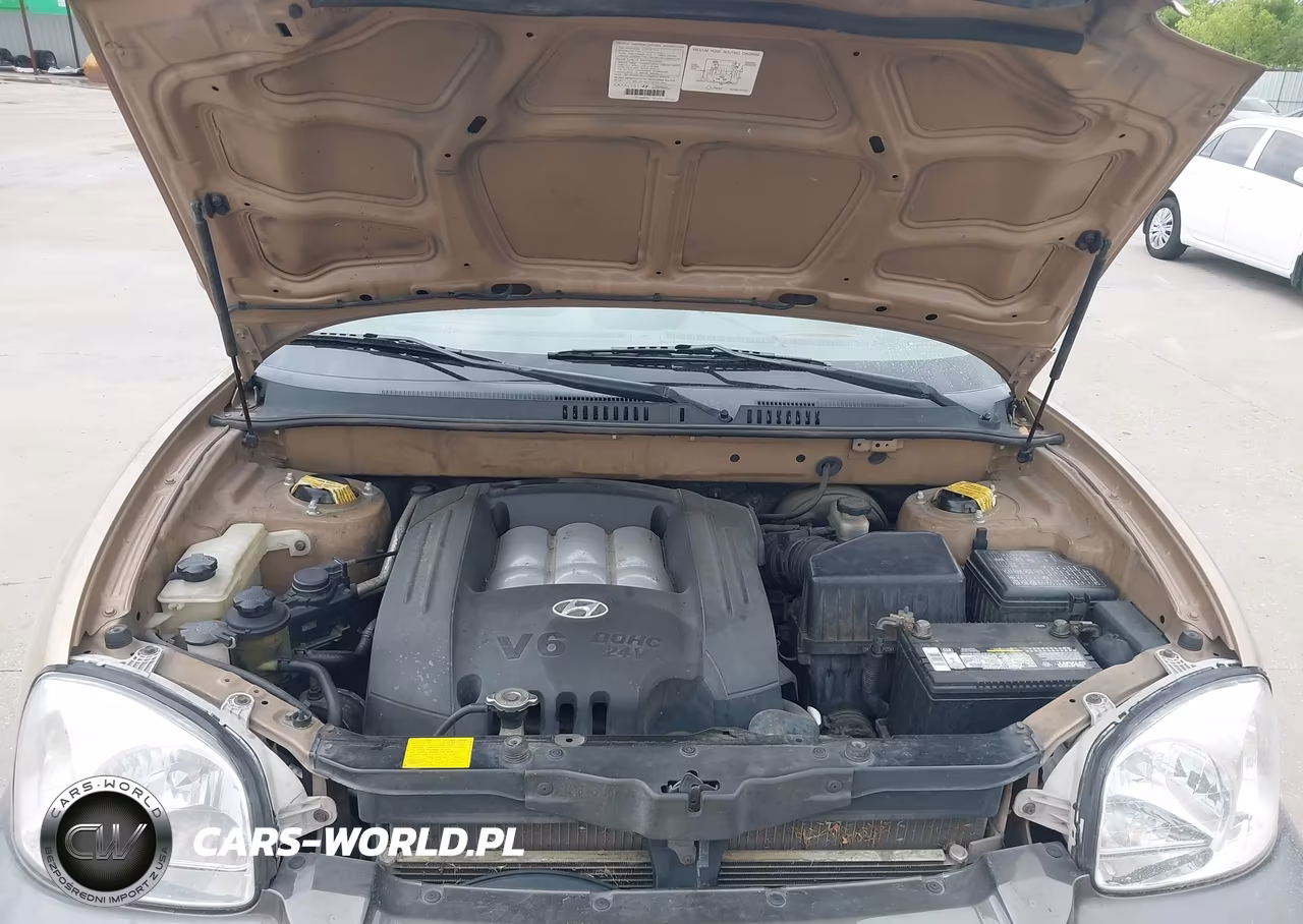 2002 Hyundai Santa Fe Gls-Lx VIN:KM8SC13D22U200356 - 10