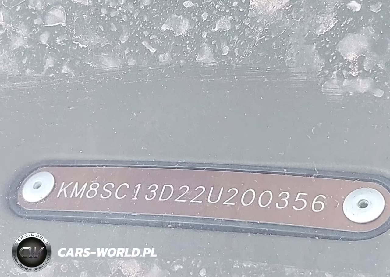 2002 Hyundai Santa Fe Gls-Lx VIN:KM8SC13D22U200356 - 12