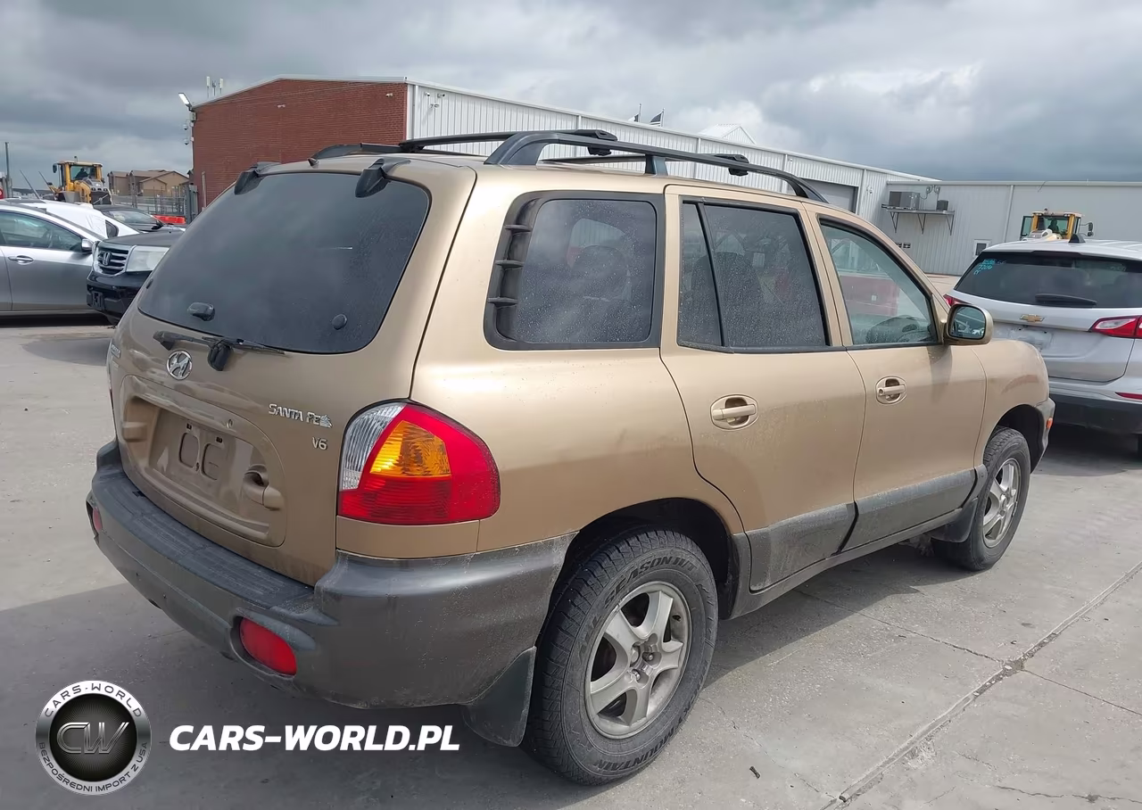 2002 Hyundai Santa Fe Gls-Lx VIN:KM8SC13D22U200356 - 4