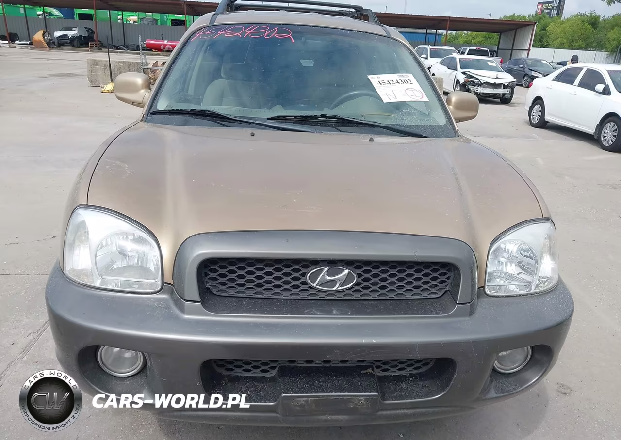 2002 Hyundai Santa Fe Gls-Lx VIN:KM8SC13D22U200356 - 6