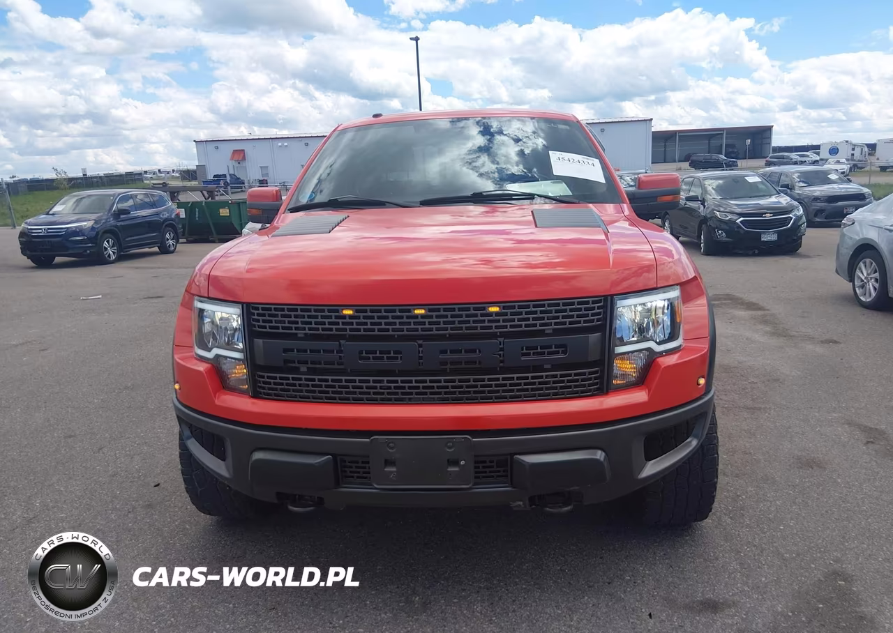 2010 Ford F-150 Svt Raptor VIN:1FTEX1EV7AFA16299 - 12