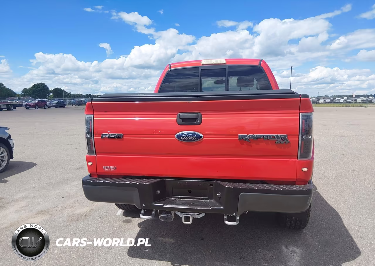 2010 Ford F-150 Svt Raptor VIN:1FTEX1EV7AFA16299 - 16