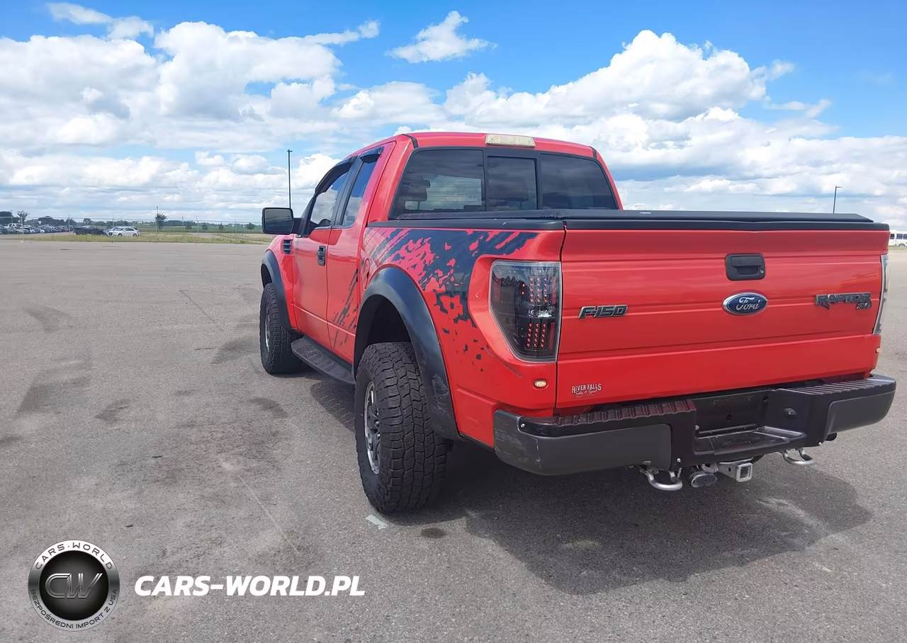2010 Ford F-150 Svt Raptor VIN:1FTEX1EV7AFA16299 - 3