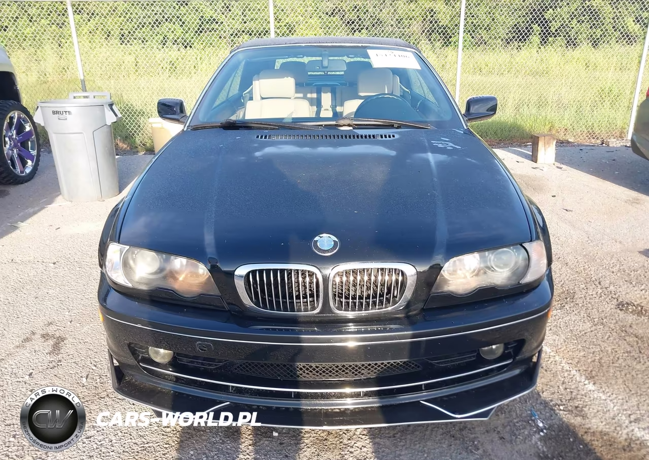 2002 BMW 3 Series 325Ci VIN:WBABS33492PG83412 - 12