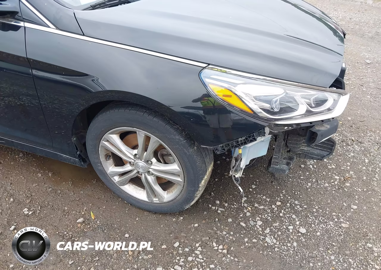 2019 Hyundai Sonata Limited VIN:5NPE34AF1KH750665 - 11