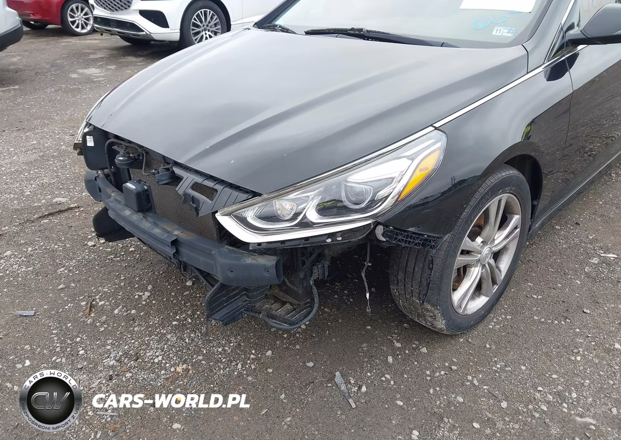 2019 Hyundai Sonata Limited VIN:5NPE34AF1KH750665 - 12