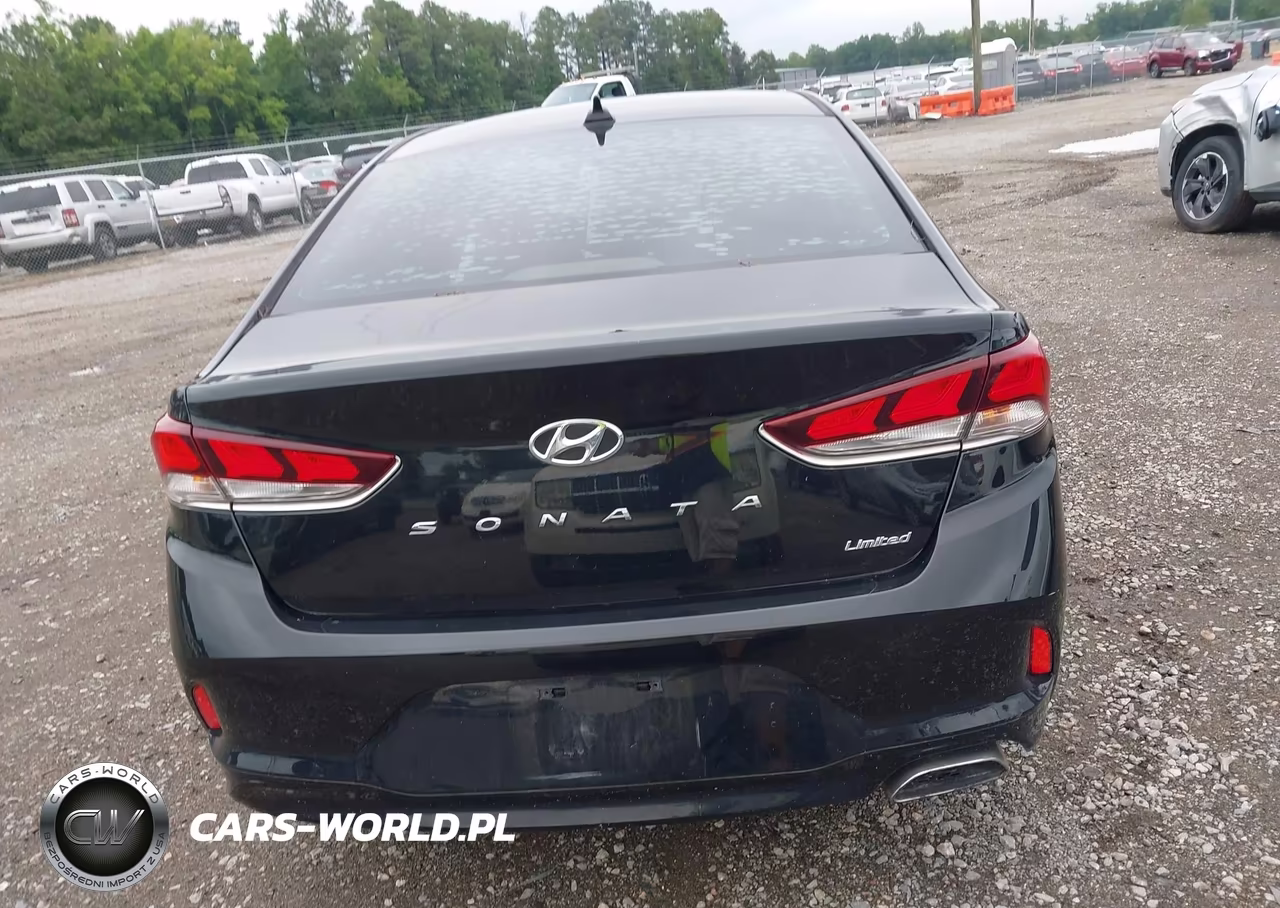 2019 Hyundai Sonata Limited VIN:5NPE34AF1KH750665 - 17
