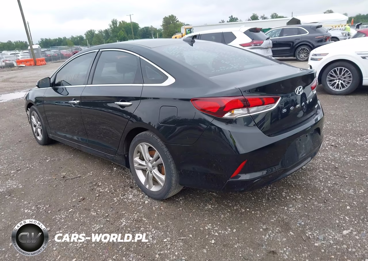2019 Hyundai Sonata Limited VIN:5NPE34AF1KH750665 - 3