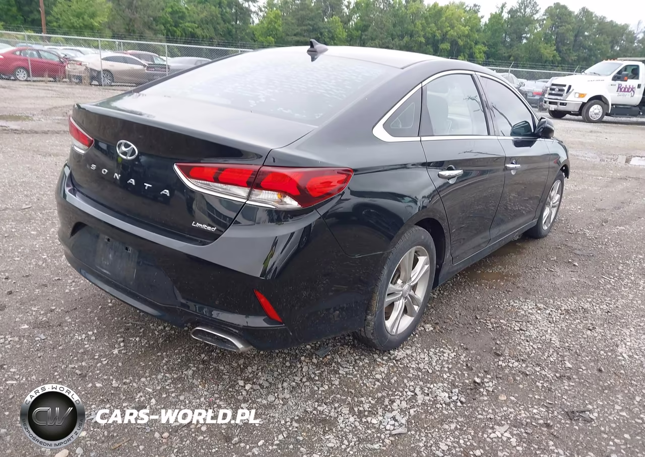 2019 Hyundai Sonata Limited VIN:5NPE34AF1KH750665 - 4