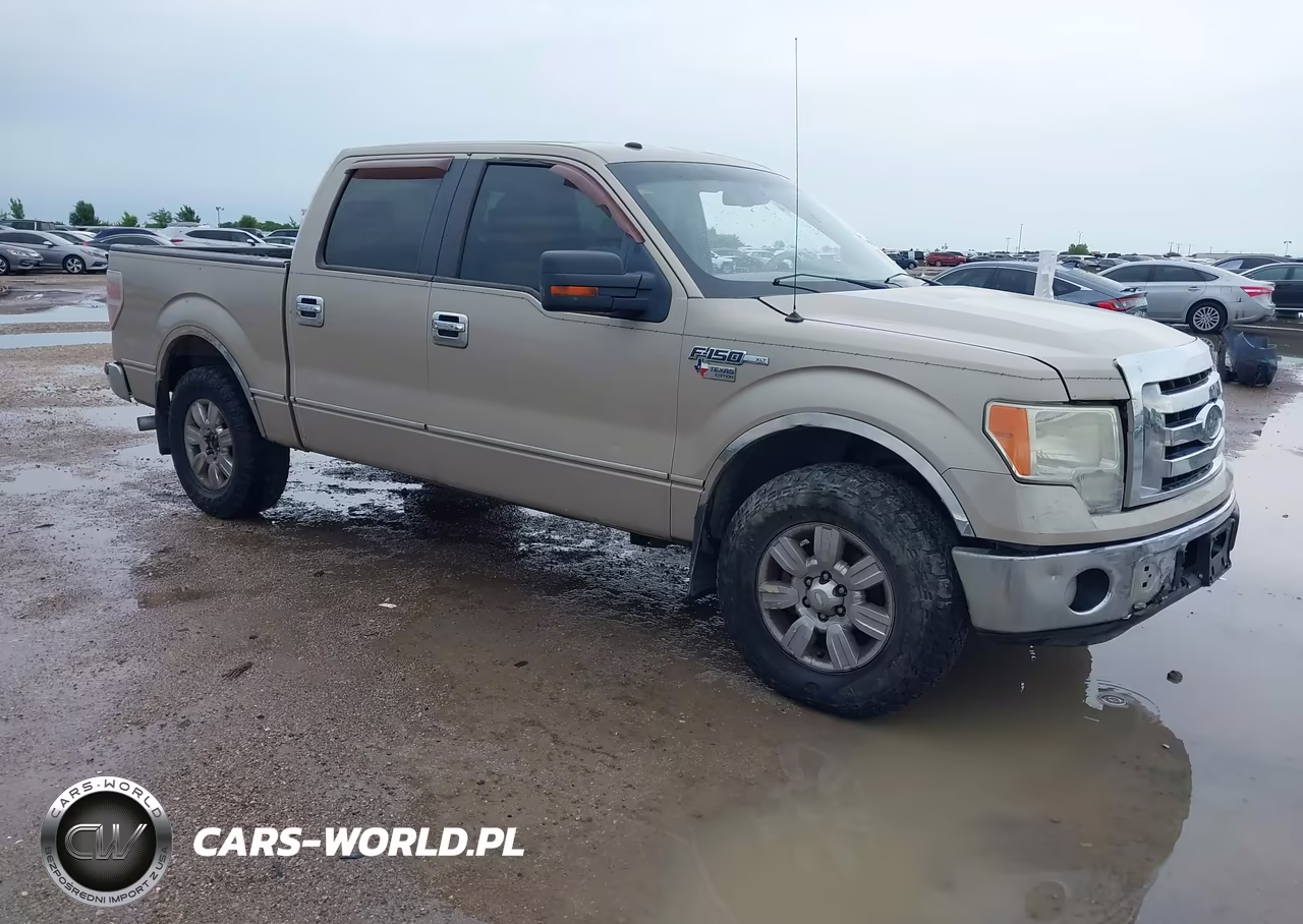 2009 Ford F-150 Xl-Xlt