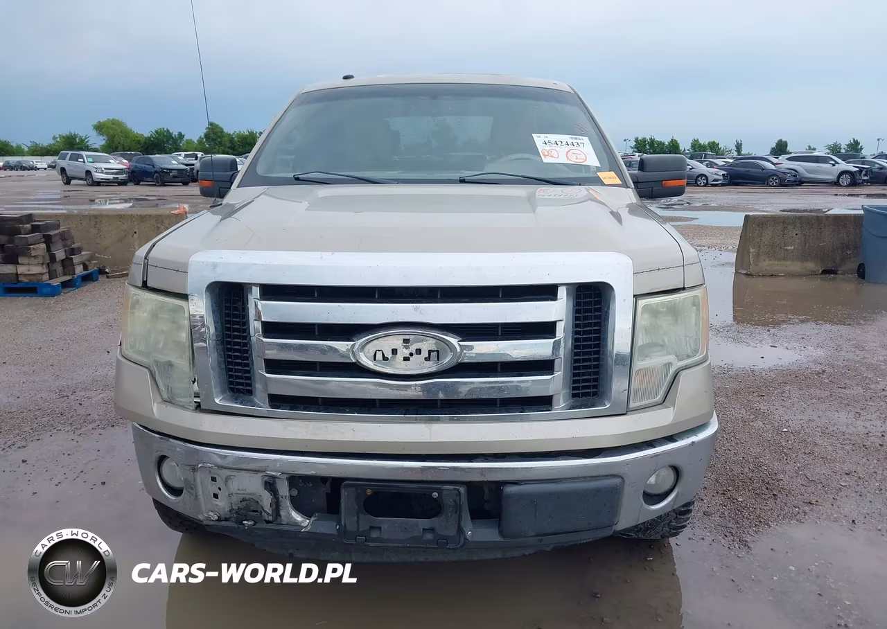 2009 Ford F-150 Xl-Xlt VIN:1FTRW12809FA12061 - 12