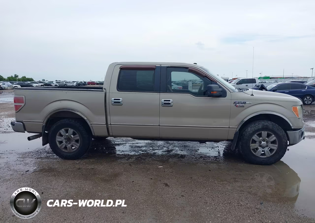 2009 Ford F-150 Xl-Xlt VIN:1FTRW12809FA12061 - 13