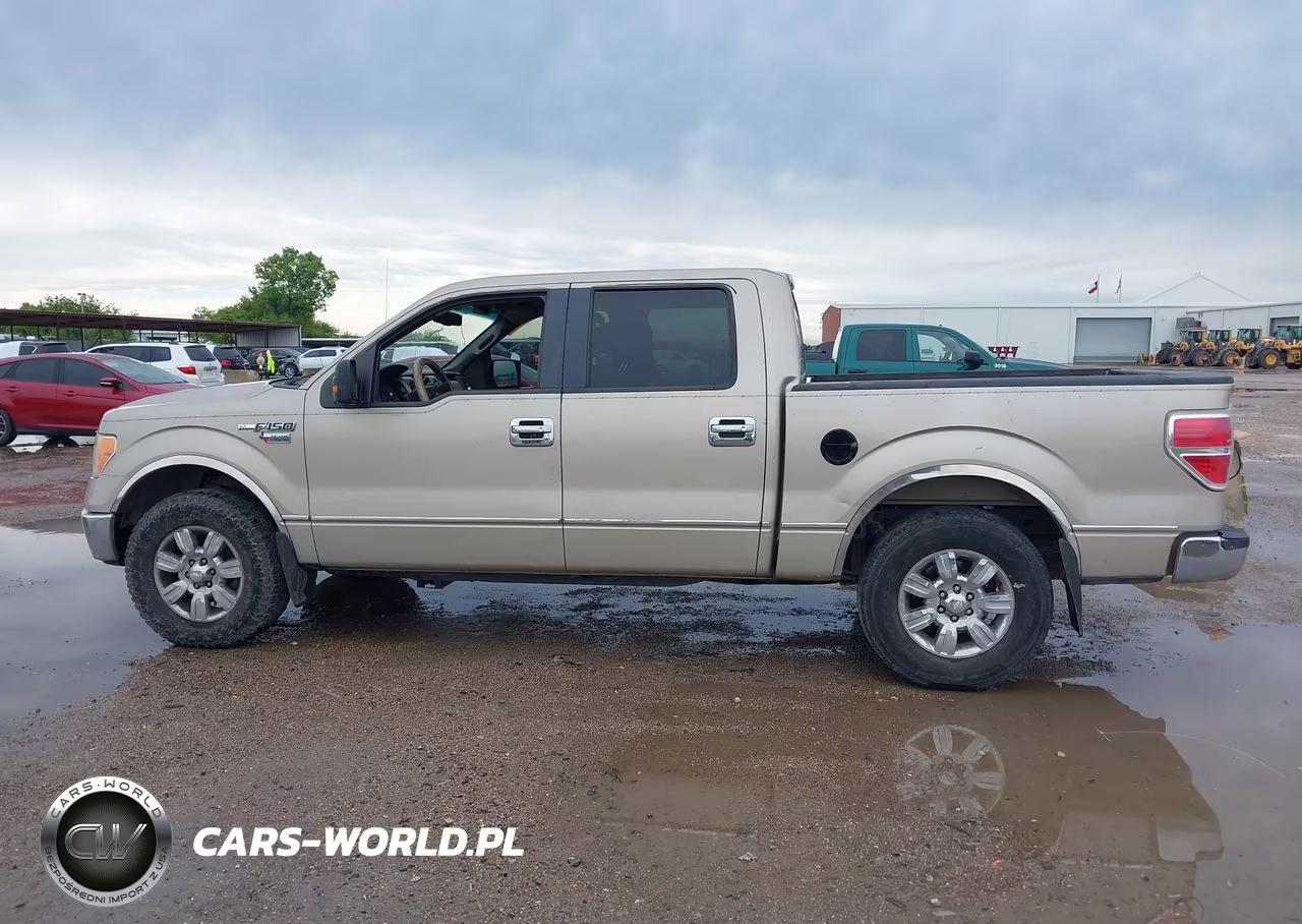 2009 Ford F-150 Xl-Xlt VIN:1FTRW12809FA12061 - 14