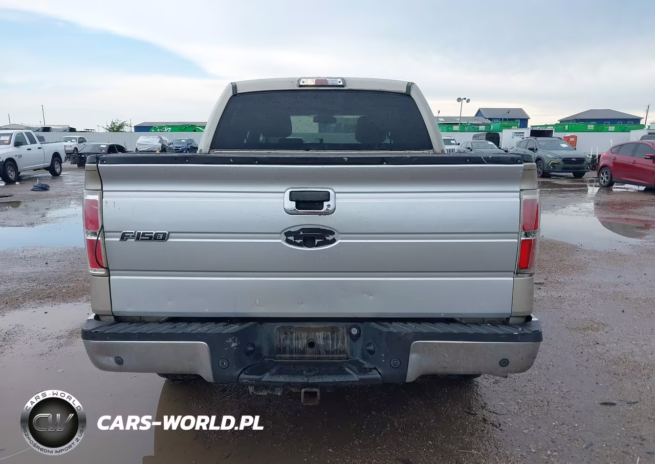 2009 Ford F-150 Xl-Xlt VIN:1FTRW12809FA12061 - 16