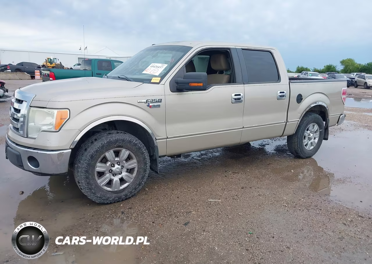 2009 Ford F-150 Xl-Xlt VIN:1FTRW12809FA12061 - 2