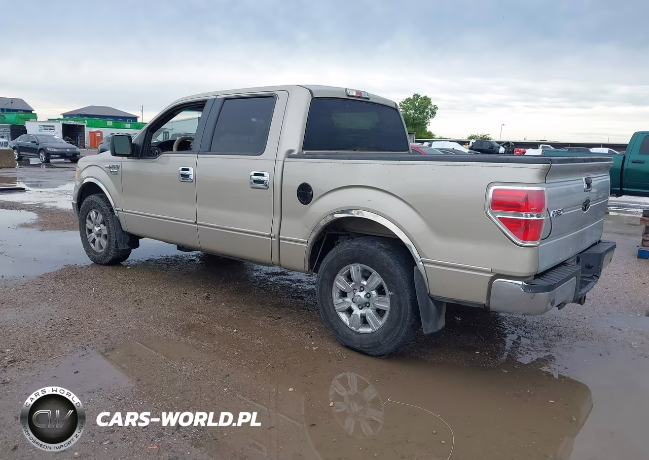 2009 Ford F-150 Xl-Xlt VIN:1FTRW12809FA12061 - 3