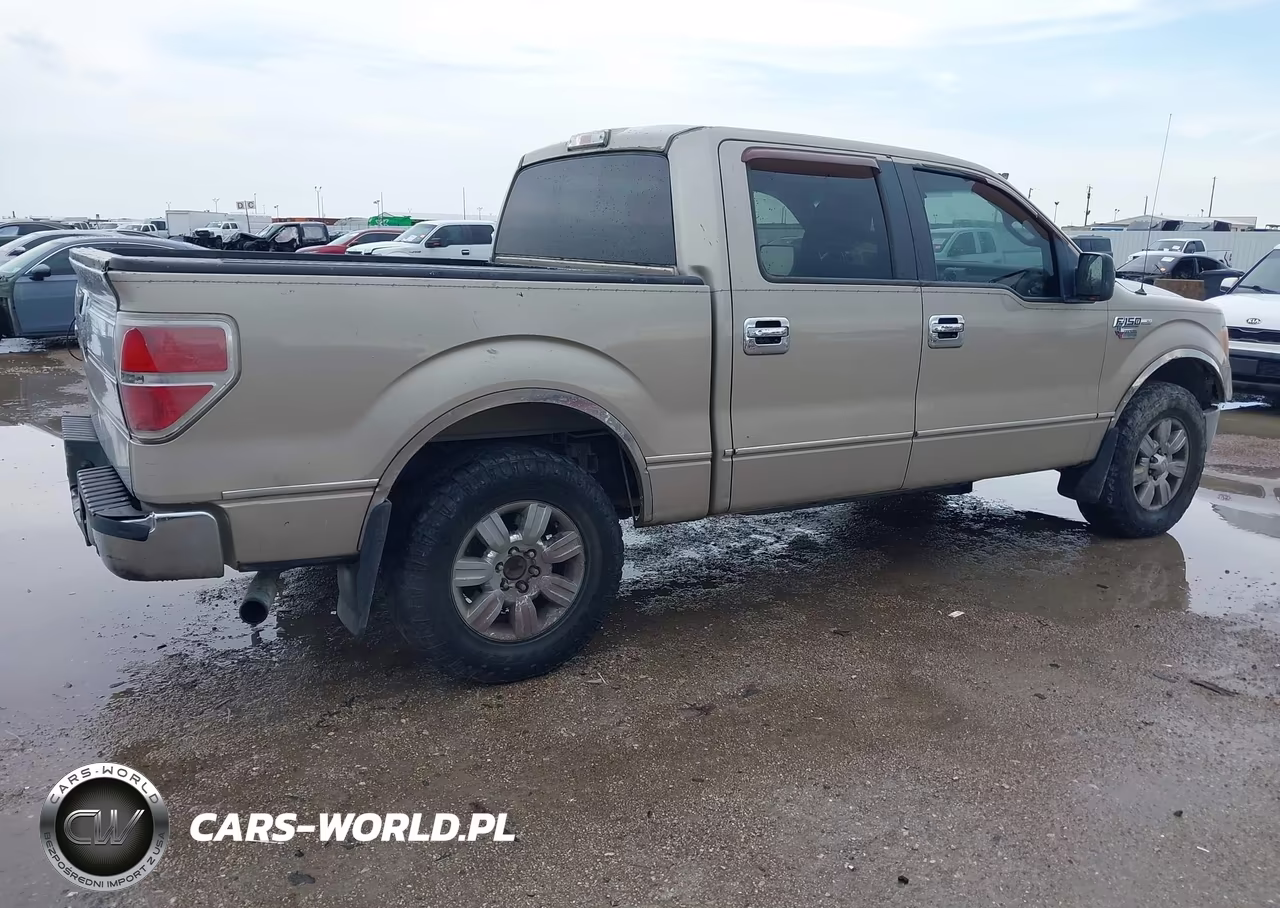 2009 Ford F-150 Xl-Xlt VIN:1FTRW12809FA12061 - 4