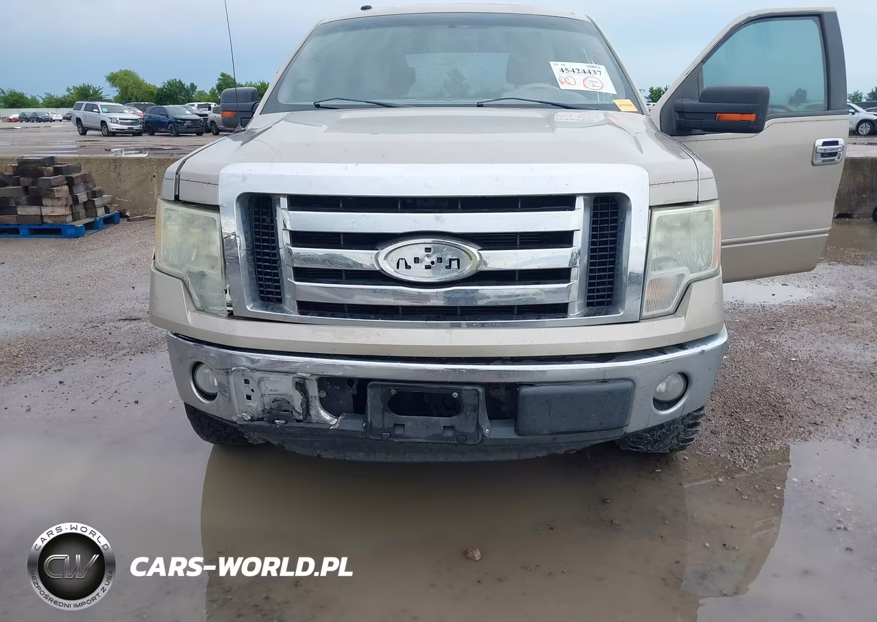 2009 Ford F-150 Xl-Xlt VIN:1FTRW12809FA12061 - 6