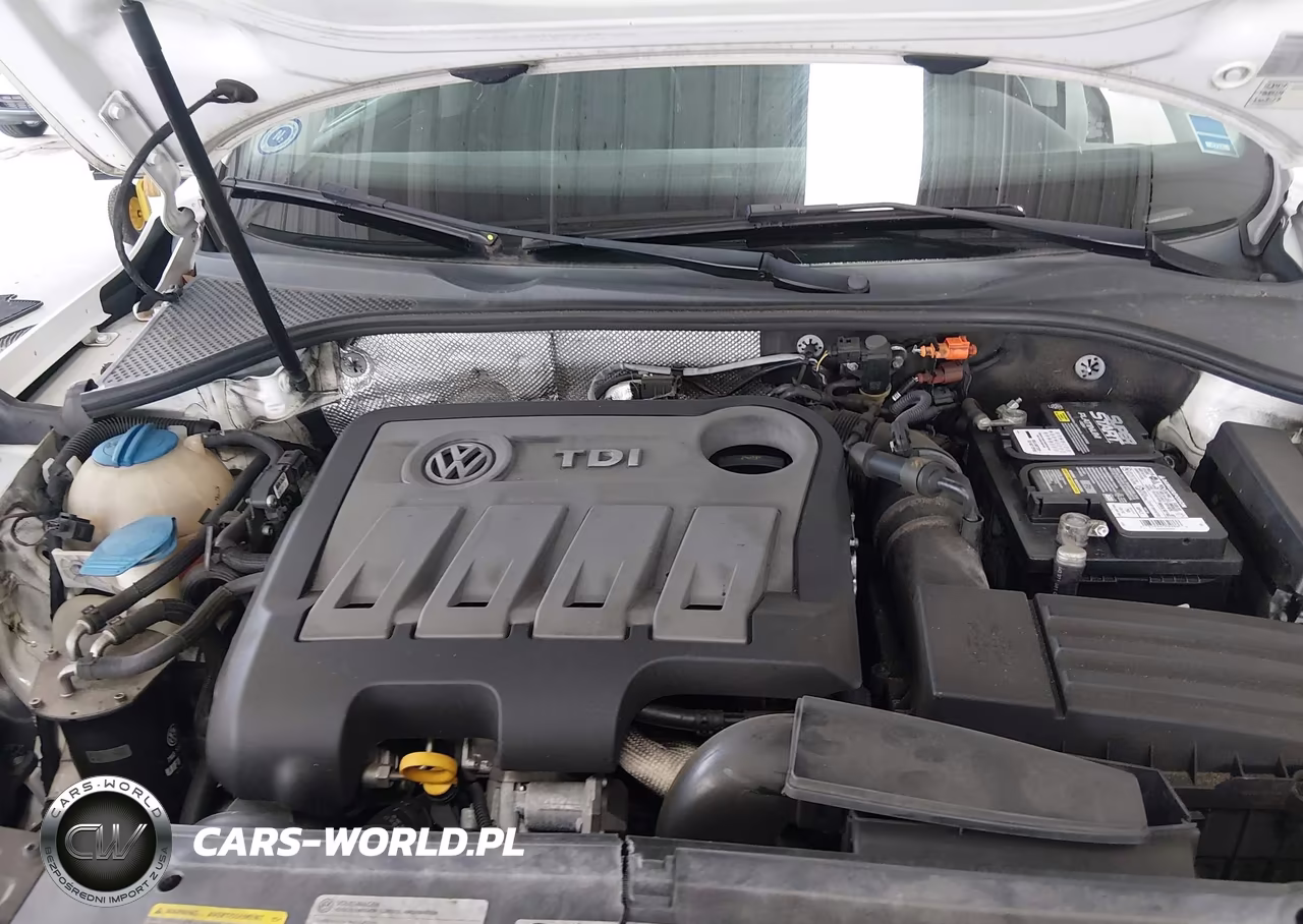 2014 Volkswagen Passat 2.0L Tdi Se VIN:1VWBN7A3XEC052802 - 10
